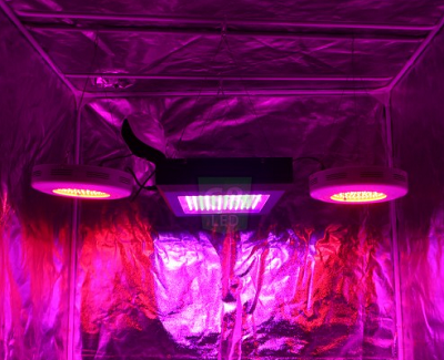 Why Is the G8-900 LED Grow Light Stealing the Show? 900 Watt LED Grow Light Replace 1400 Watt MH HPS System Dorm Grow