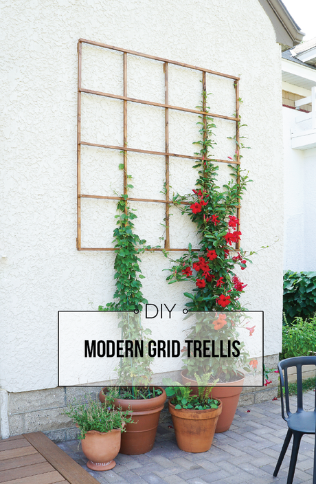 Build a Modern Grid Trellis from Garden Stakes