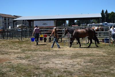 Clark Country Rodeo Bible Camp Drop Off
