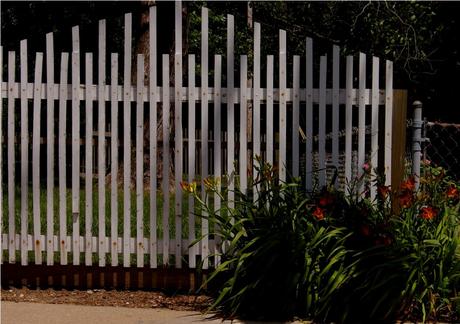 Unique Fence Ideas For A Small Yard