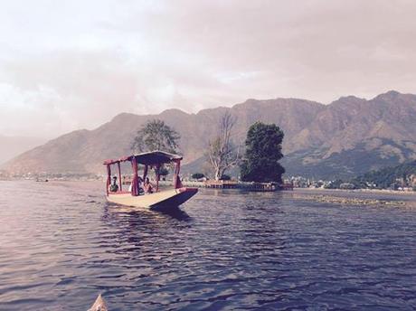 The Great Kashmir lakes Trek - I