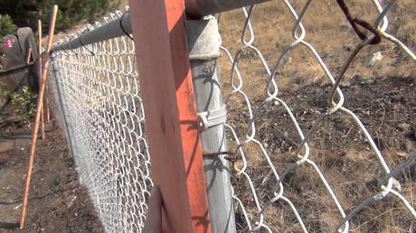 Install Base Wire On A Painting Chain Link Fence