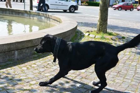 DSC_1031 DSC_1031