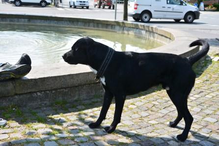 DSC_1029 DSC_1029