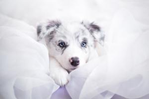 My Lifestyle Delights! baby