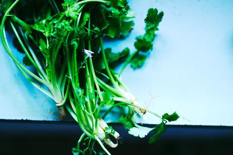 Green Food, Reviving Food, Natural Cleanse, Green Juice, Enjoyable, Natural Cleanse, Gentle Cleanse, aldentegourmet blog