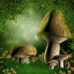 Not So Strange To Me But True mushroom sprout