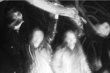 SWAMP WITCH: Suffocating Doom Unit Streams SWAMP WITCH: Suffocating Doom Unit Streams