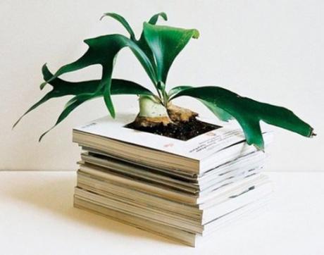 Top 10 Things You Can Make With Old Magazine Subscriptions Old Magazines Used To Make a Planter