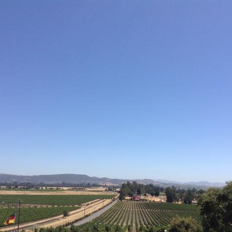 redThread™ Exclusive | A Conversation with Axel Schug & Michael Cox | Schug Winery redThread™ Exclusive | A Conversation with Axel Schug & Michael Cox | Schug Winery