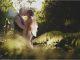 Lord Bute Hotel Wedding | Emma & Kevin Preview Gaddens Manor Wedding