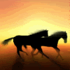 kentucky horses photo: Desert Sun k1sz5y.gif