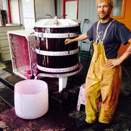 Understanding Harvest with Glorie Farm Winery's Doug Glorie