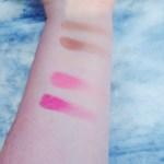 AUGUST 2016 BOXYCHARM REVIEW Coastal Scents Blush + Bronzer Mini Palette + Bonus Angled Blush Brush swatch