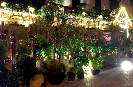 China’s Culture Club: Flower Power, Fruit Platters and Laughing Gas! Xian China Bar Club
