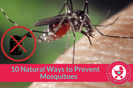 10 Natural Ways to prevent Mosquitoes