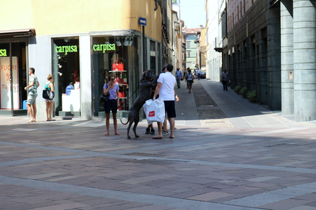 Shopping district of Bergamo.png