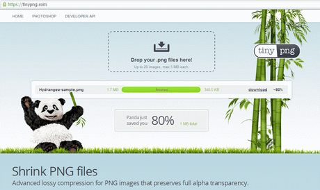 best-lossless-Image-compression-tools-online