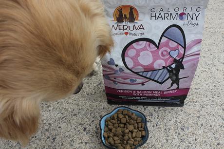 Tracking The Source of Your Dog's Calories with Weruva? #ChewyInfluencer
