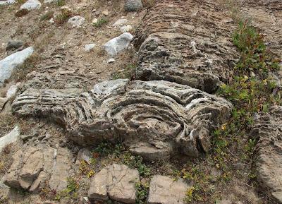 Stromatolite Pilgrimage