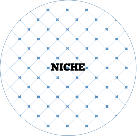 A Visualization of Why a Focused Niche is Important for SEO