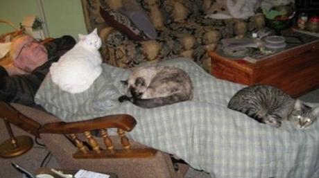 Top 10 Sure-Fire Signs You are a Crazy Cat Owner Are you a crazy cat owner? Does this image ring a bell?
