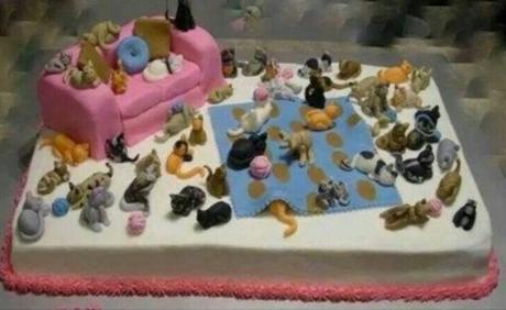 Top 10 Sure-Fire Signs You are a Crazy Cat Owner Are you a crazy cat owner? Does this image ring a bell?