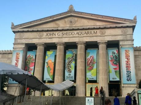 Spend Wednesday Nights Jazzin� at the Shedd - Paperblog