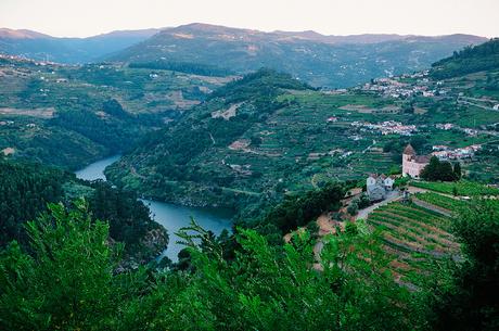 Summer In The Douro Valley