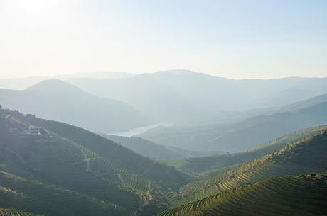 Summer In The Douro Valley