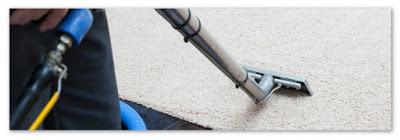 Why Is Carpet Cleaning Essential?