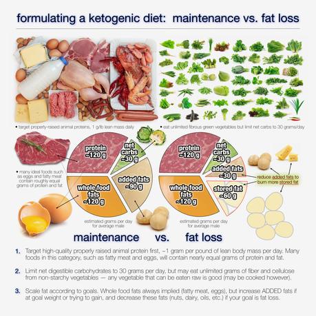How Much Fat Should You Eat on a Ketogenic Diet?