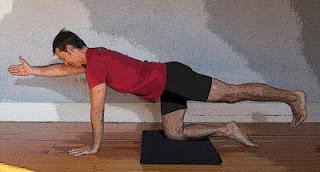 Featured Pose: Hunting Dog Pose Featured Pose: Hunting Dog Pose