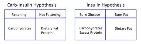 Why Low Carb Is High in Fat – Not Protein Why Low Carb Is High in Fat – Not Protein