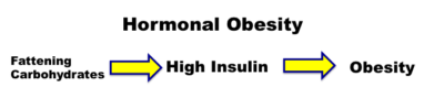 Why Low Carb Is High in Fat – Not Protein Why Low Carb Is High in Fat – Not Protein