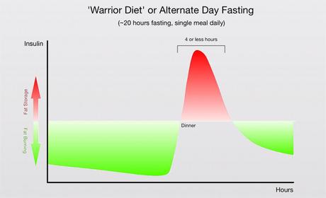 Short Fasting Regimens – up to 24 Hours