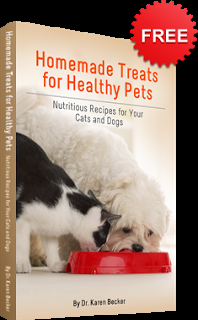 FREEBIE: Healthy Homemade Treats for Your Cats and Dogs