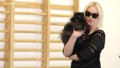 Toddlers & Tiaras: Snatch That Crown And Hit The Road. It’s Time To Pack Up And Head To Vegas, Baby. Game On! cat