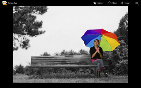 PicSay Pro – Photo Editor 1.8.0.1 APK PicSay Pro - Photo Editor - screenshot