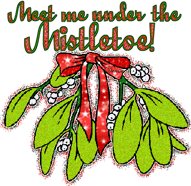 The Trouble With Mistletoe by Jill Shalvis- Feature and Review