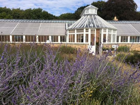 new-greenhouse-at-scampston