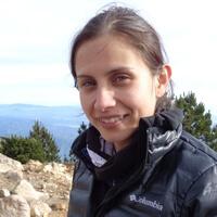 The Best Places to See Monkeys in Central America The Best Places to See Monkeys in Central America