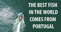 The best fish in the world comes from Portugal (extended version)
