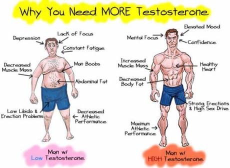 high testosterone diet 