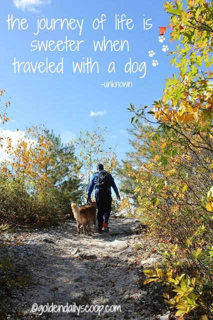 benefits of hiking with your dog #walktober #wordlesswednesday