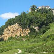 Château-Chalon vineyards ©Wink Lorch