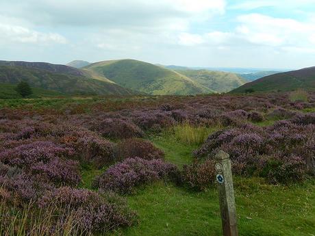 Long Mynd and Carding Mill Valley (Part 2)