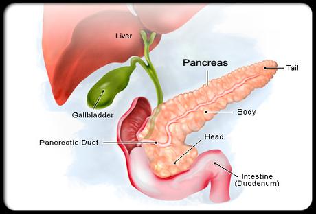 Dealing with Chemotherapy : Help to quit Pancreatic Cancer