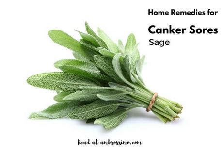 Sage - how to get rid of canker sores