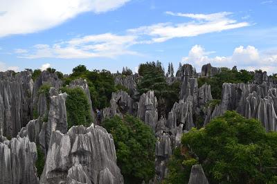 A Day in the Stone Forest